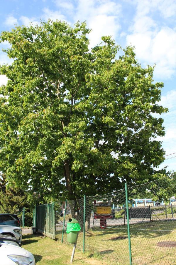 Class'Eco Charleroi Zewnętrze zdjęcie